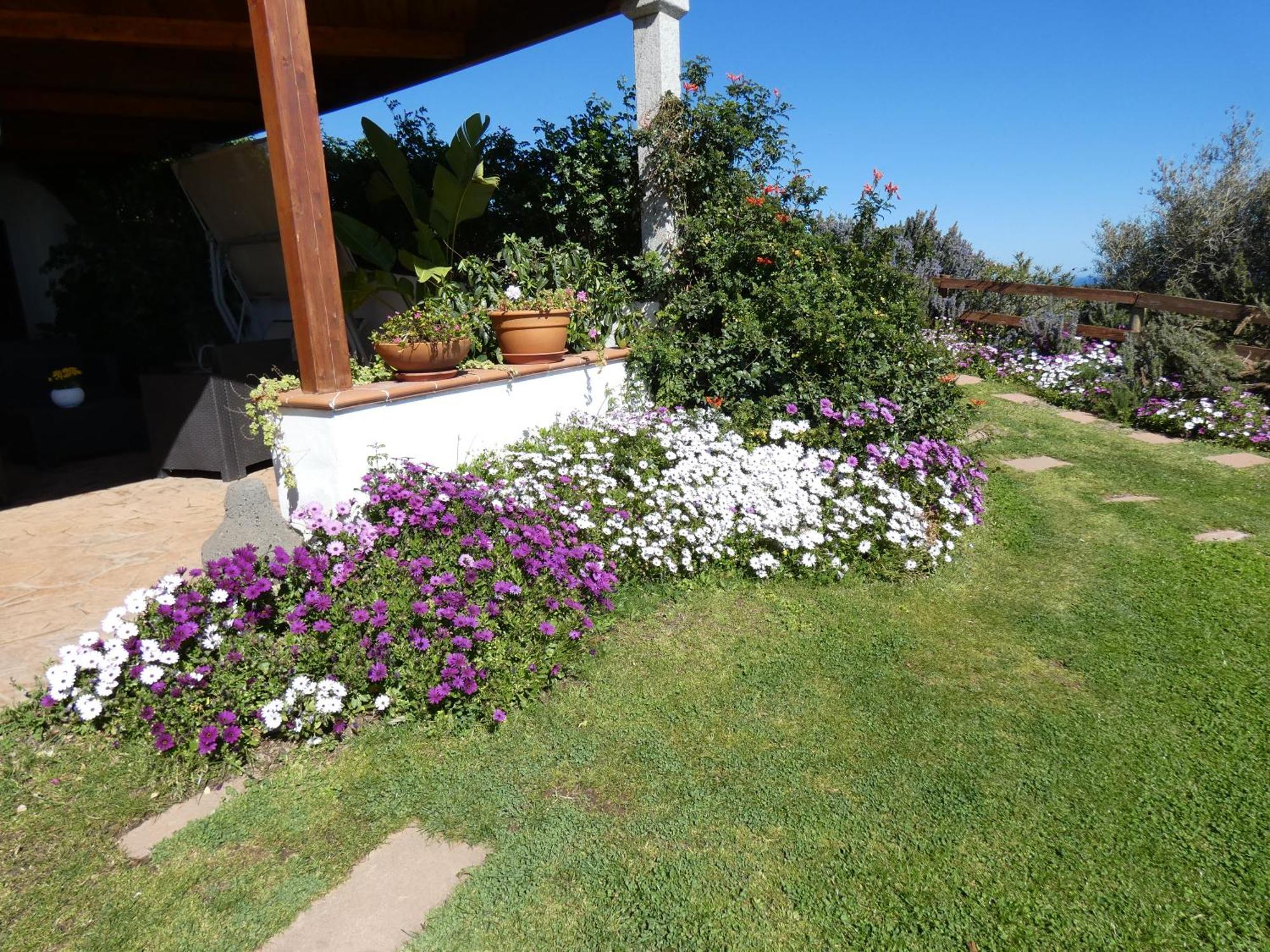 Comino Alto Agriturismo E Appartamenti Siniscola Exterior foto